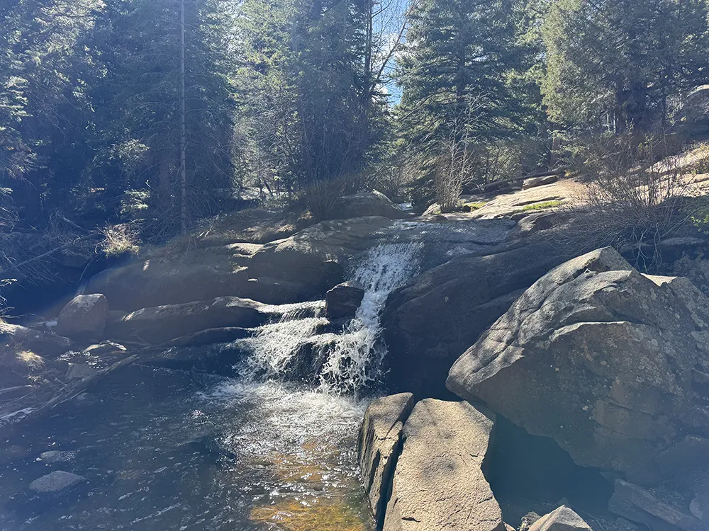 Small waterfall flowing over rocks into a pool, surrounded by large boulders and dense pine trees, creating the perfect spot to brainstorm or mediate while considering how to become a successful entrepreneur